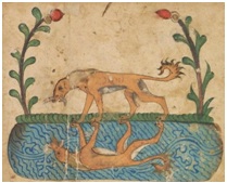 Aesop’s Fables - Success and Ethics
