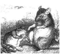 Aesop’s Fables - Success and Ethics Aesop’s Fables - Success and Ethics