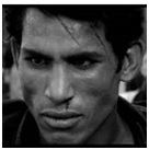 The Battle of Algiers - Strategy and Terrorism The Battle of Algiers - Strategy and Terrorism
