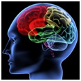 Steven Pinker - Psychology and Learning Steven Pinker - Psychology and Learning
