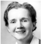 Rachel Carson - Success and Environmentalism Rachel Carson - Success and Environmentalism