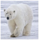 Climate change