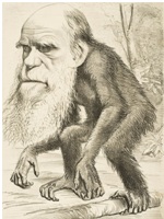 Charles Darwin - Creativity and Science Charles Darwin - Creativity and Science