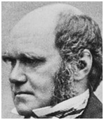 Charles Darwin - Creativity and Science Charles Darwin - Creativity and Science