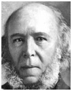 Charles Darwin - Creativity and Science Charles Darwin - Creativity and Science