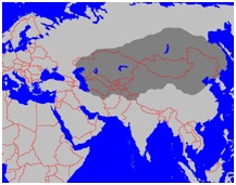 Genghis Khan Leadership Genghis Khan Leadership