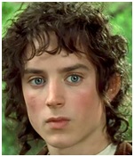 The Lord of the Rings - Success and Leadership The Lord of the Rings - Success and Leadership