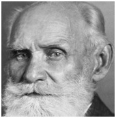 Ivan Pavlov - Psychology and Learning Ivan Pavlov - Psychology and Learning