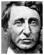 Politics and Government Quotes Politics and Government Quotes